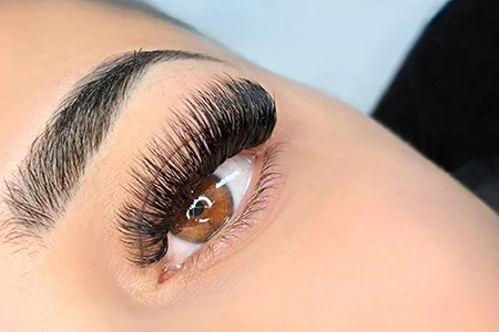 Lashes Extensions